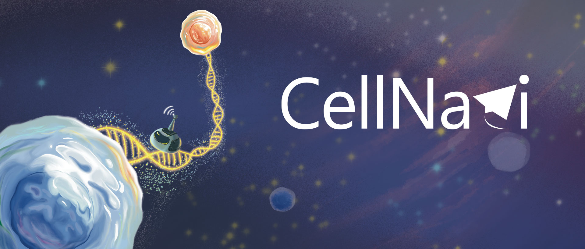 CellNavi_JingyunBai.jpg