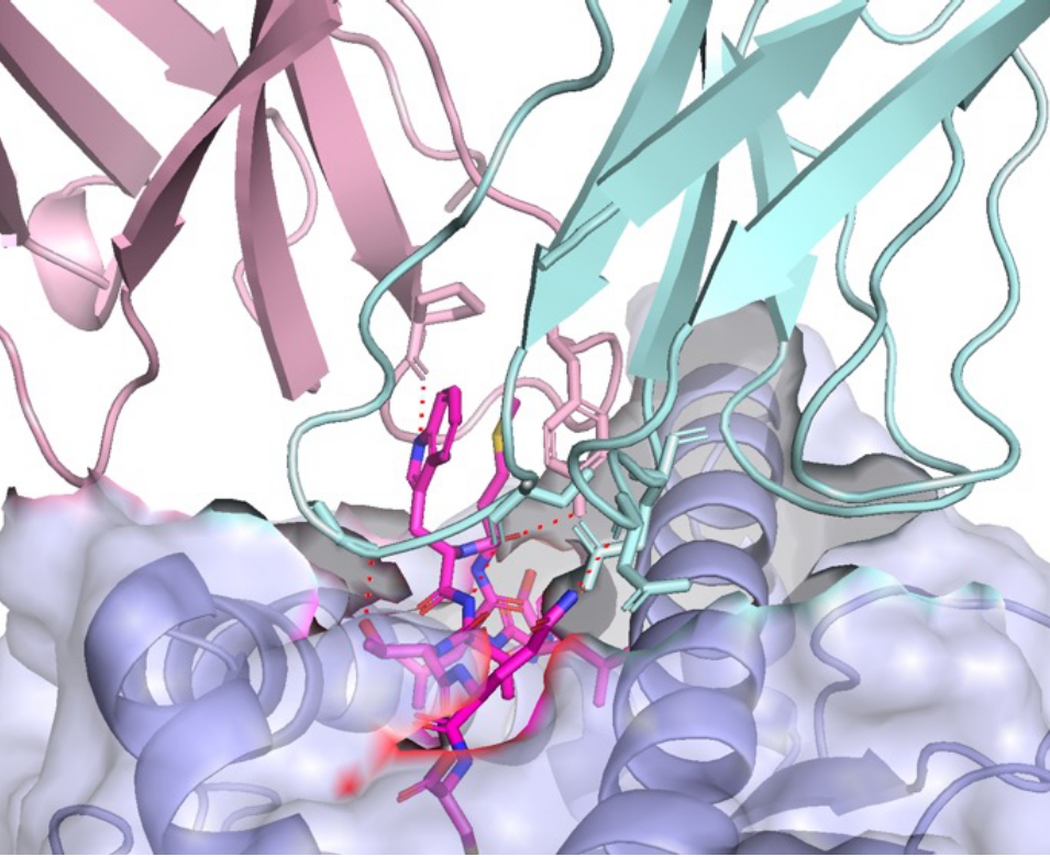 Fig5_TCR_page-0001.jpg
